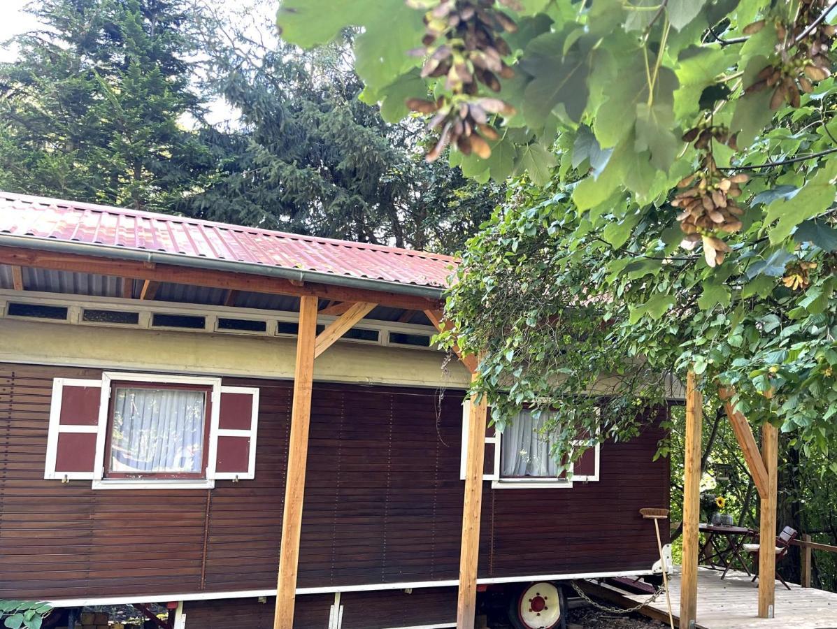 Historischer Zirkuswagen Mit Terrasse Und Blick Ins Gruene Witzenhausen Dış mekan fotoğraf